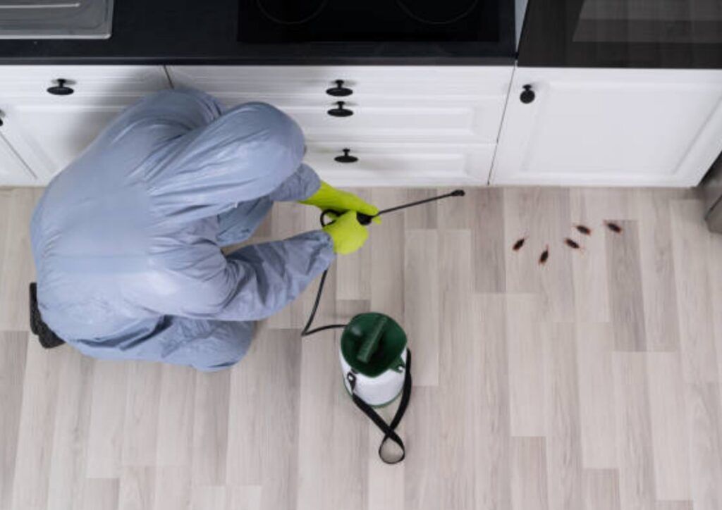 pest control service in bangladesh​