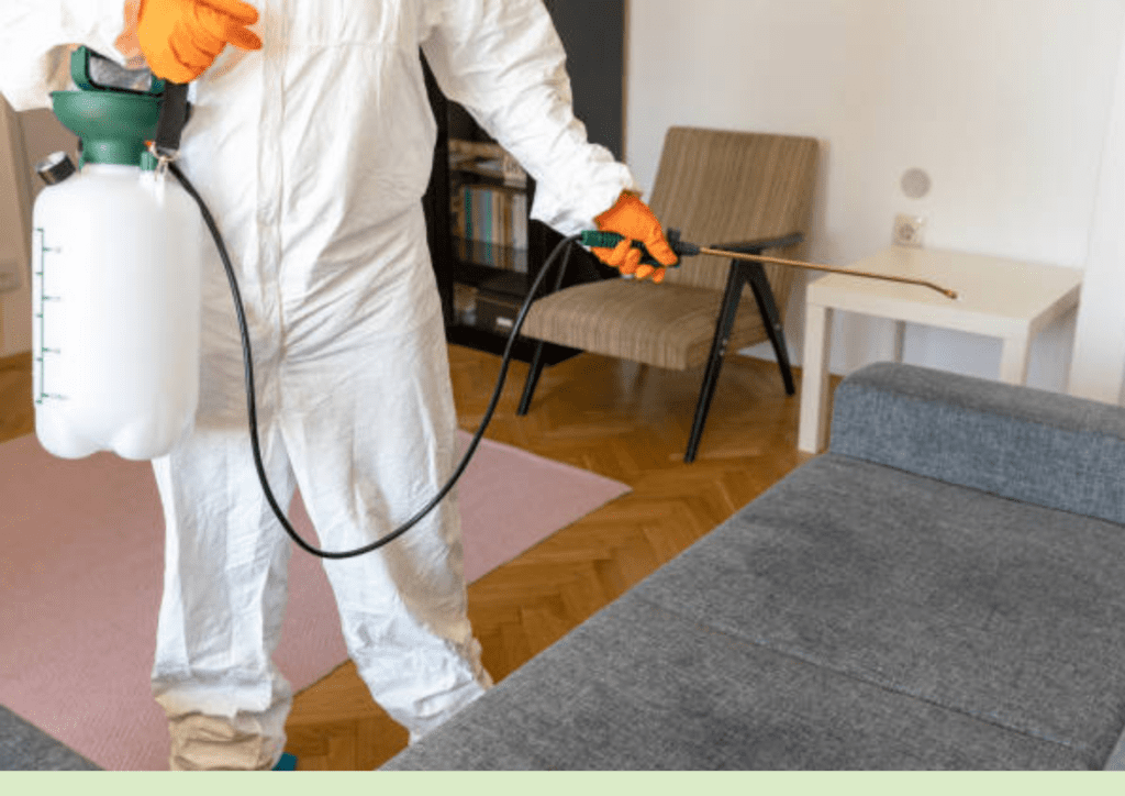 pest control service in bangladesh​