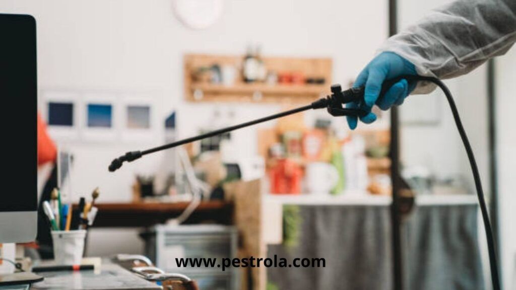 commercial pest control service in bangladesh