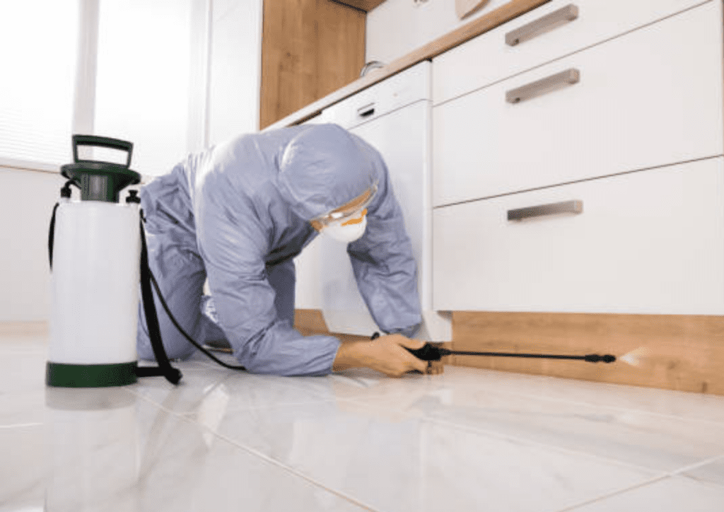 pest control service in bangladesh​